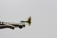 Trockenfliege