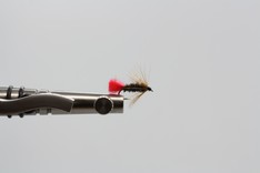 Black-Zulu Nassfliege