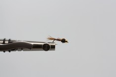 Pheasant tail Nymphe 