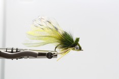 Diving Bass Bug